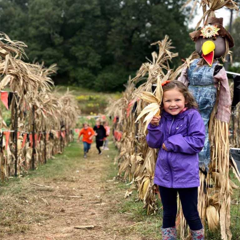 Educational School Field Trips to our Real Working Farm at Motley's Pumpkin Patch and Christmas Tree Farm