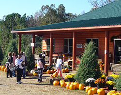 The Mega Super Slide at Motley's Pumpkin Patch and Christmas Trees